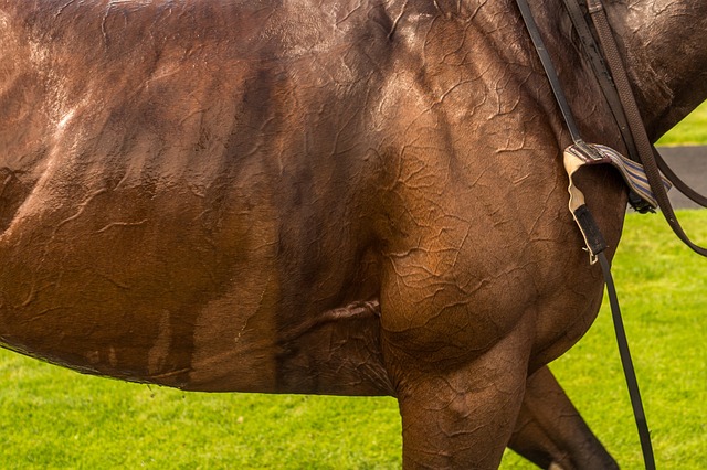 Sports Betting Mistakes